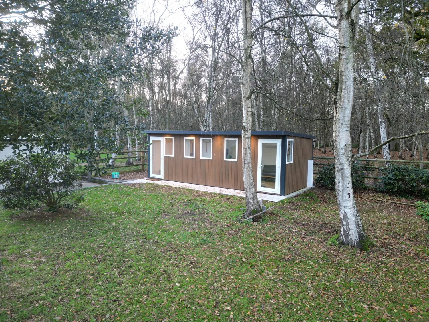 Cedar-clad Noah office with white-framed windows and doors among silver birch trees